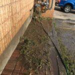 interlock stone weed removal